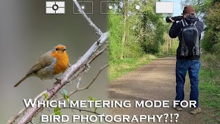 What is the best metering mode for Bird and Wildlife photography [upl. by Inalej]