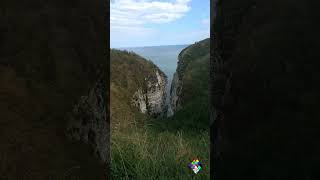 Bempton Cliffs 16082024 cliff cliffs eastyorkshire [upl. by Melody]