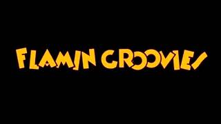 Flamin Groovies  Live in San Francisco 1979 Full Concert [upl. by Resaec]