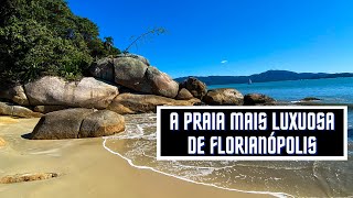 PRAIA DE JURERÊ INTERNACIONAL  FLORIANÓPOLIS  SC [upl. by Lerner]