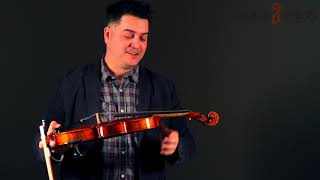 Violin Pros  Franz Sandner 803 Model Violin Overview [upl. by Maggie273]