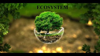 ECOSYSTEM  ENVIRONMENTAL SCIENCE  ALL TOPICS IS BEEN COVERED [upl. by Lenni]