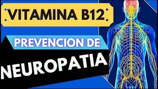 Vitamina B12 en la Prevencion de Neuropatia Todo lo que tienes que saber [upl. by Josephson559]