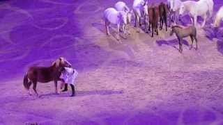 JeanFrancois Pignon quottalking with horsesquot show with 12 young horses  SIHS2013  By EquKing [upl. by Sorac]