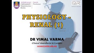 QR ANAESTHESIA  RENAL PHYSIOLOGY PART 1 [upl. by Hagep474]