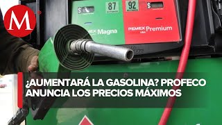 Gobierno otorga beneficios a gasolinas en apoyo a consumidores no a gasolineras Profeco [upl. by Leigh]