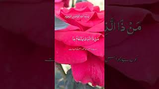 Aytul kurse hearts teaching telawat shiak sudis voiceeffects quransurahrahman quran [upl. by Assenad582]