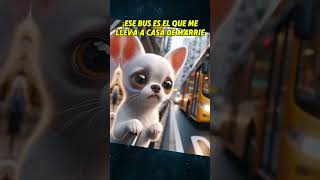 UN PERRO NUNCA OLVIDA 🥲 perros chihuahua mascotas perroabandonado shortsviral [upl. by Elem]