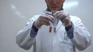 Sakaguchi test Part 2 Identification of Amino Acids Arginine [upl. by Eelac141]