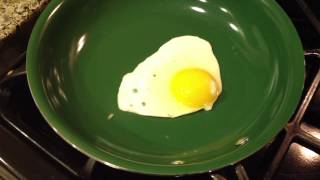 Orgreenic Pan Egg Test [upl. by Anayrb]