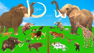 Modern Mammals vs Cenozoic Beasts Size Comparison Mammoth TRex Vs Elephant Lion Animal Epic Battle [upl. by Aihtak]