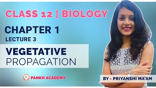 Vegetative Propagation Class 12 Biology Chapter 1  Vegetative Propagation Pankh Academy  Lecture 3 [upl. by Lennie]