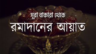 Beautiful Quran Tilawat Surah Baqarah 183187  Ayah Of Ramadan  সূরা আল বাকারা। Sheikh Masud [upl. by Einnod374]