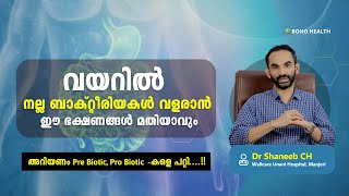 വയറിൽ നല്ല ബാക്റ്റീരിയകൾ വളരാൻ ഈ ഭക്ഷണങ്ങൾ മതിയാവും അറിയണം Pre Biotic Pro Biotic കളെ പറ്റി [upl. by Phyllis533]