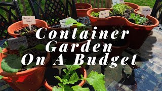 Container Gardening On A Budget  Dollar Tree [upl. by Geri397]