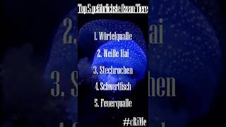 Top 5 gefährlichste Ozean Tiere [upl. by Sapphira]