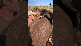 Baby Elephant And Mom Are Stuck In A Well Full Of Water  The Dodo [upl. by Kela]