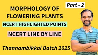 Morphology of Flowering Plants in Tamil  Part 2  TB 2025 [upl. by Agemo]