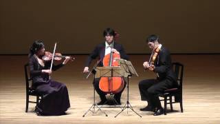 JSBach  Goldberg Variations arranged for string trio by Dmitry Sitkovetsky [upl. by Imelida]