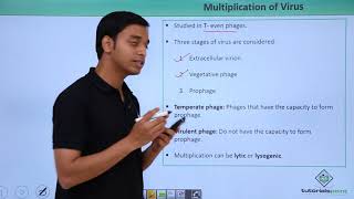 Class 11th – Multiplication of Virus – Characteristics  Biological Classification  Tutorials Point [upl. by Thin187]