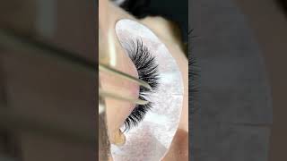 Volume Eyelash Extensions Using Premade fans lashextension [upl. by Samantha984]