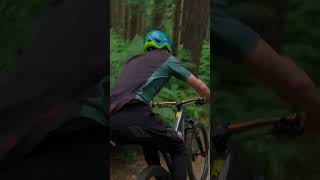 ZOOMING down the trail mtb bike bikelover shorts [upl. by Plunkett]