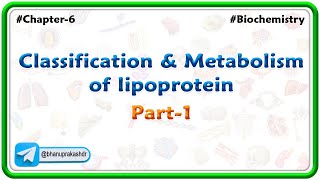 Chapter 6  Lipids  Classification amp Metabolism Of lipoprotein Part 5  Hindi [upl. by Namielus]