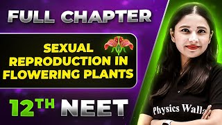 Sexual Reproduction Flowering Plants FULL CHAPTER  Class 12th Botany  Lakshya NEET [upl. by Adnuhsor]