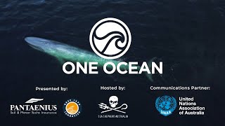 One Ocean Film Tour 2020 Trailer [upl. by Rolandson]