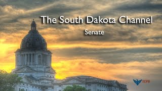 South Dakota Senate  LD 33 [upl. by Diane-Marie]