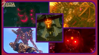 The Legend of Zelda Breath of The Wild  All Boss Encounters  Master Mode  No Damage [upl. by Farika478]