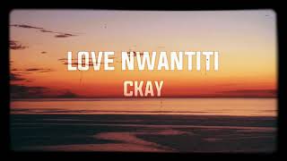 CKay  Love Nwantiti Lyrics Acoustic Version [upl. by Chloette]