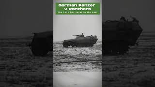 German Panzer V Panthers  Surviving the Winter Stalingrad [upl. by Lattie]