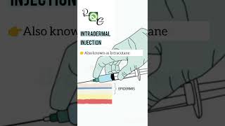 INTRADERMAL INJECTION pharmacy nursing neet science biology [upl. by Llesirg]