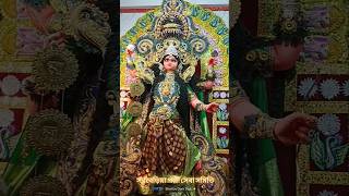 Sarbaria Pally Saba Samiti 2024 viralvideos prasantapalstudio jagadhatripuja joynagar [upl. by Leuqcar932]