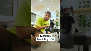 ₹250000 Robot Dog 🐶💰 [upl. by Oeak574]