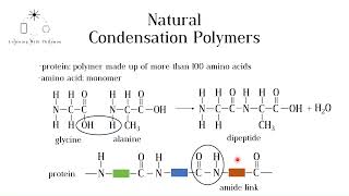 Natural Condensation Polymers Proteins and Carbohydrates GCSE Chemistry [upl. by Alwyn]