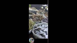 Rosalia Catud Vlog is liveMapagpalang Gabi sa lahatDried fish yummy [upl. by Thorlie]