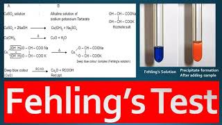 Fehlings Test Principle Procedure and Reagent Preparation [upl. by Otrebron]