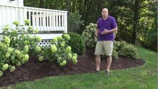 Front Yard Landscape Design Ideas  Trumbull CT Landscape Designer [upl. by Ahsikal750]