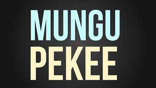 Nyashinski  Mungu Pekee Official Lyric Video [upl. by Duvall]