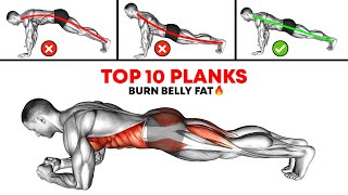 Plank Workout Routine to Lose Belly Fat Fast – Top 10 Exercises [upl. by Belia]