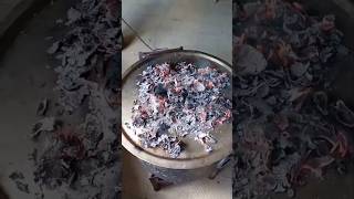 Thalassery chicken dum Biryani for 200 persons biryani dumbiryani thalasserydumbiriyani [upl. by Ylrak253]