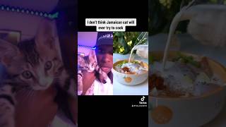 ASKING MY CAT YO COOK catheart kittycat shortsvideo reaction video [upl. by Refinney]