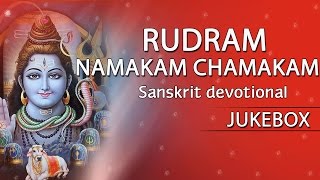 2265 Rudram Namakam Chamakam  Sanskrit Devotional Songs [upl. by Payne740]