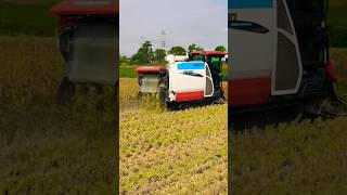 kubota DR120 harvester machines 😀😀 shorts kubota harvester [upl. by Ishmael]