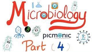 Microbiology  Viridans Streptococcus pyogenes agalactiae bovis Enterococci  Picmonic Part 4 [upl. by Ashling]