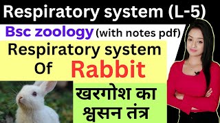 Respiratory system L5Respiratory system of mammals rabbit bsc zoology knowledge adda lion batc [upl. by Oler]