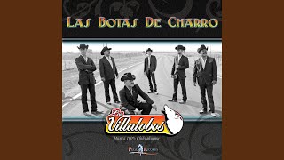 Las Botas De Charro [upl. by Naihtniroc461]