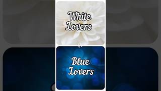 White Lover VS Blue Lover bluebutterfly shorts youtube [upl. by Macilroy754]